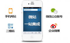 手機(jī)網(wǎng)站目前優(yōu)化有哪些技巧？